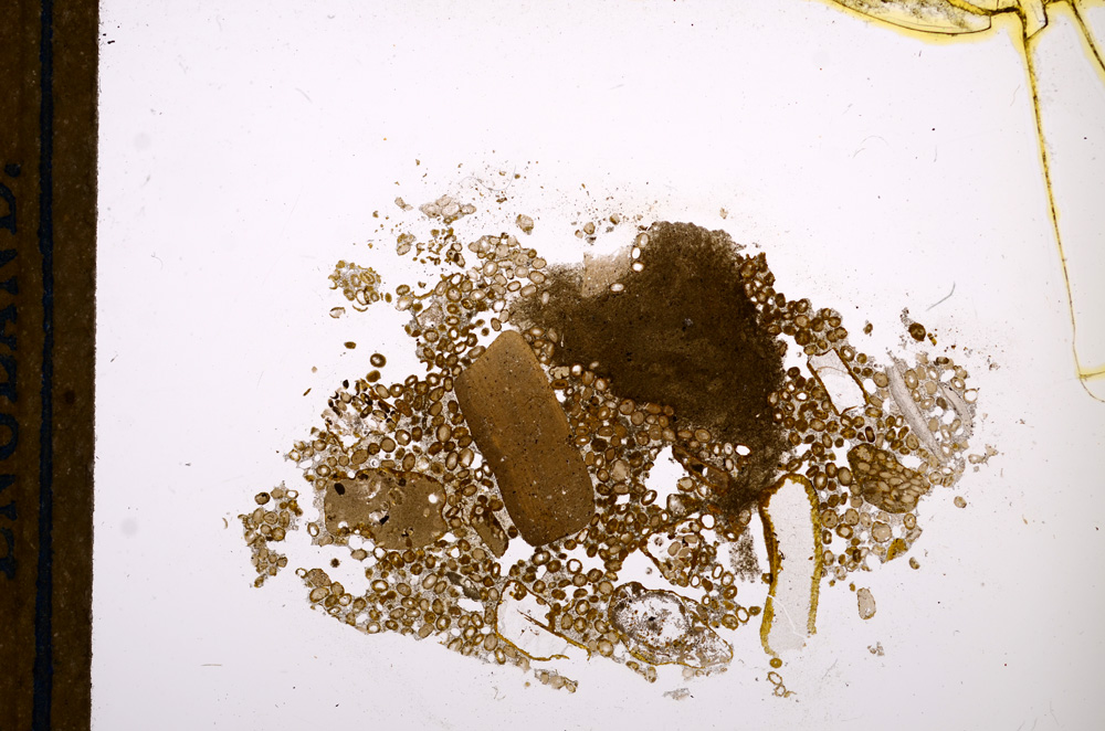 Plane Polarized, E12172