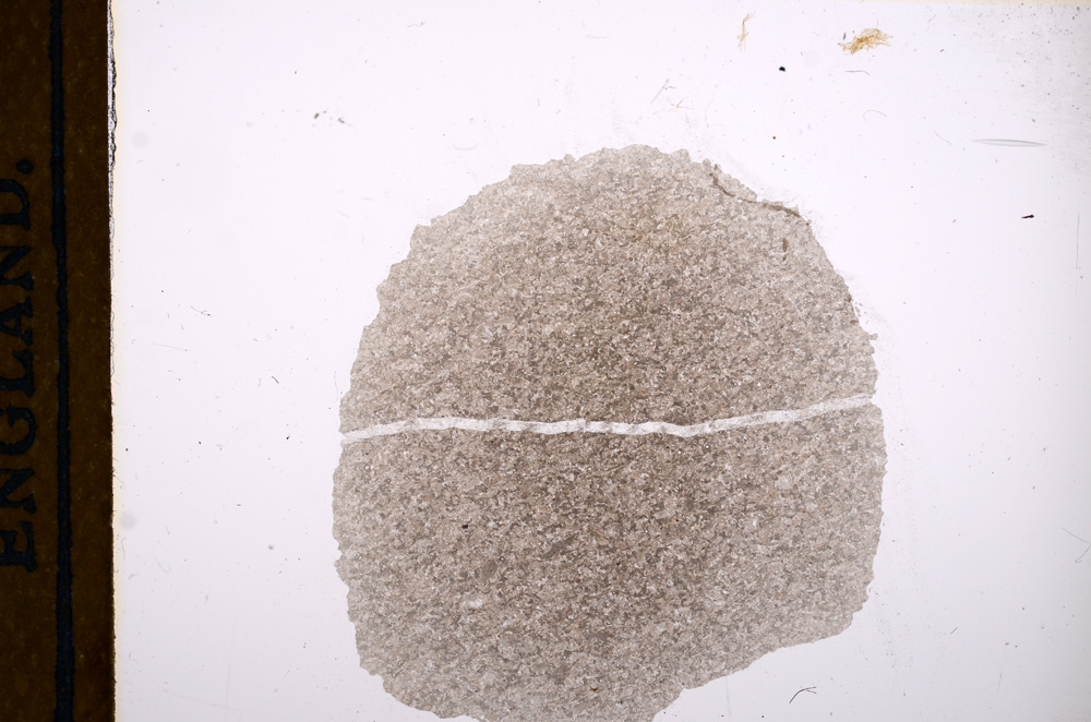 Plane Polarized, E12185