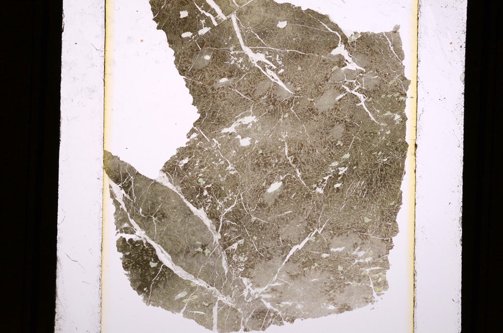Plane Polarized, E12201
