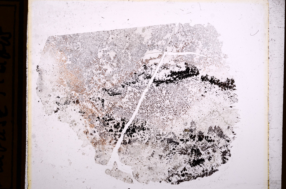Plane Polarized, E12216