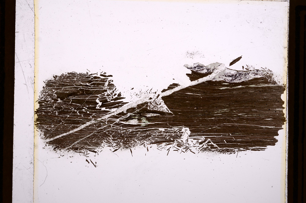 Plane Polarized, E12220