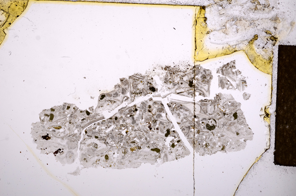 Plane Polarized, E12244