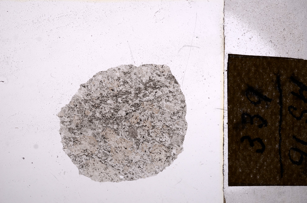 Plane Polarized, E12277