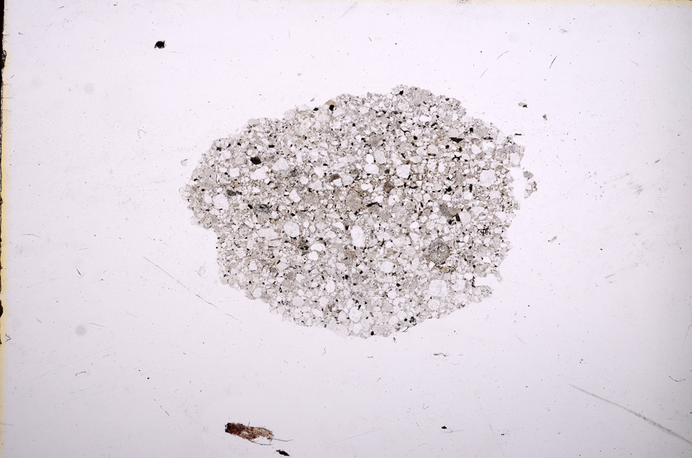 Plane Polarized, E12361