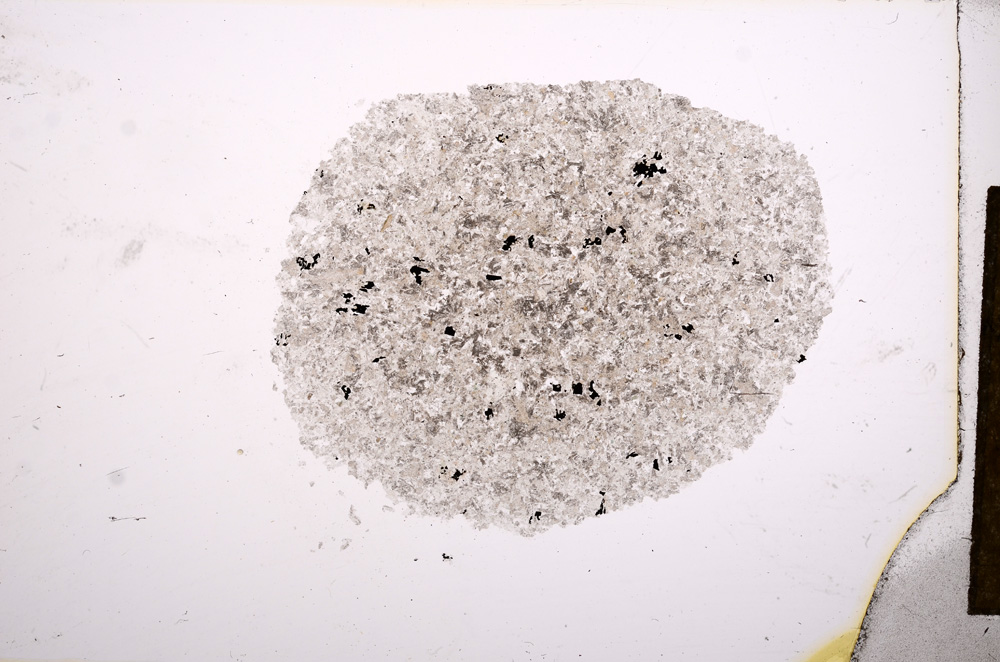 Plane Polarized, E12373