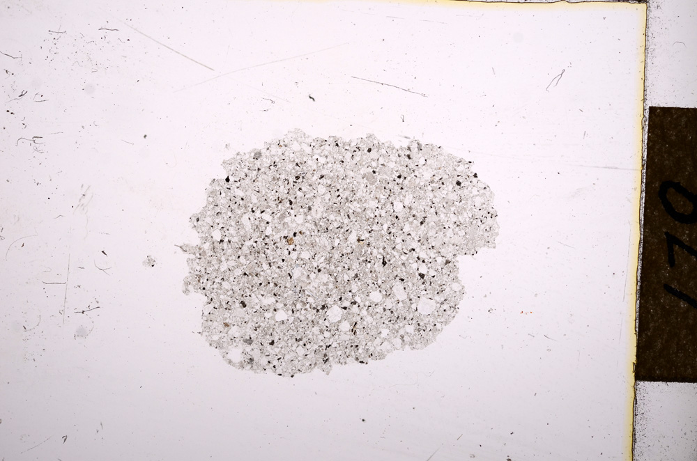 Plane Polarized, E12377