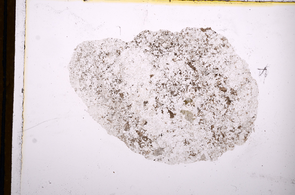 Plane Polarized, E12424