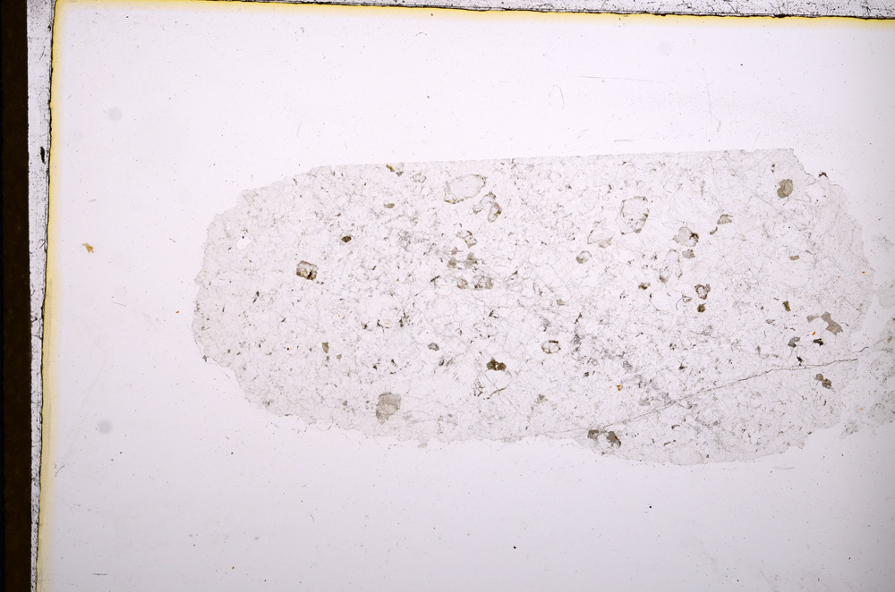 Plane Polarized, E12425