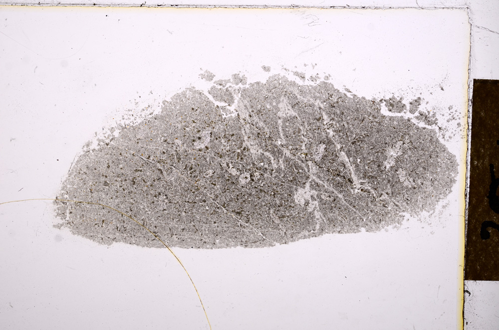 Plane Polarized, E12426