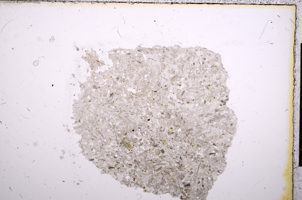 Plane Polarized, E12438