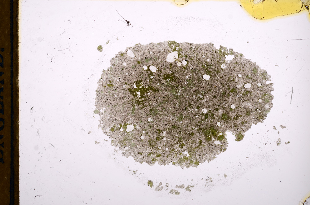 Plane Polarized, E12463