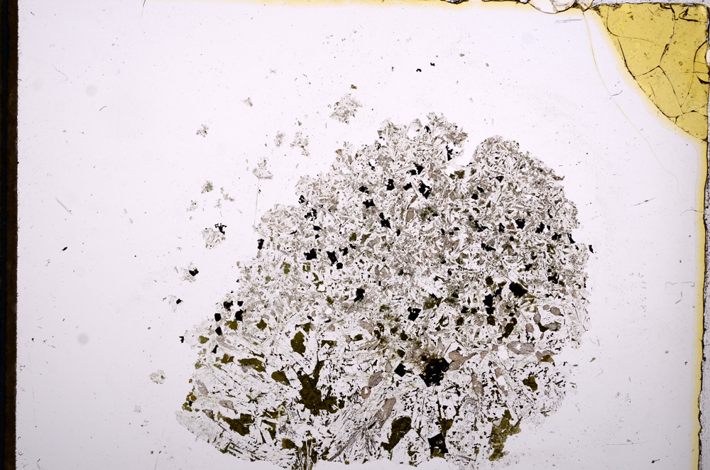 Plane Polarized, E12466