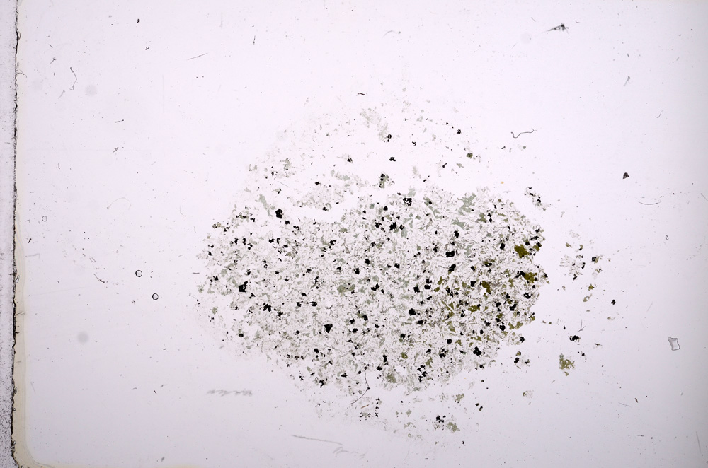 Plane Polarized, E12472