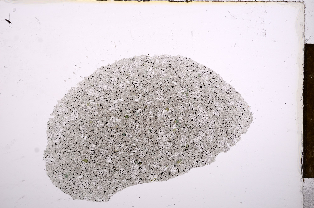 Plane Polarized, E12473