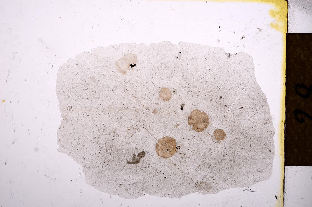 Plane Polarized, E12483