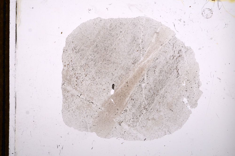 Plane Polarized, E12485