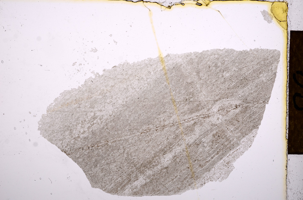 Plane Polarized, E12487