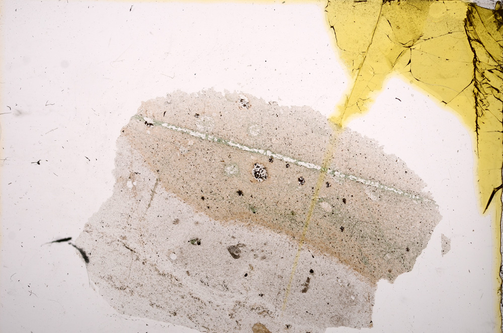 Plane Polarized, E12491