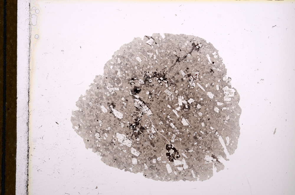 Plane Polarized, E12531