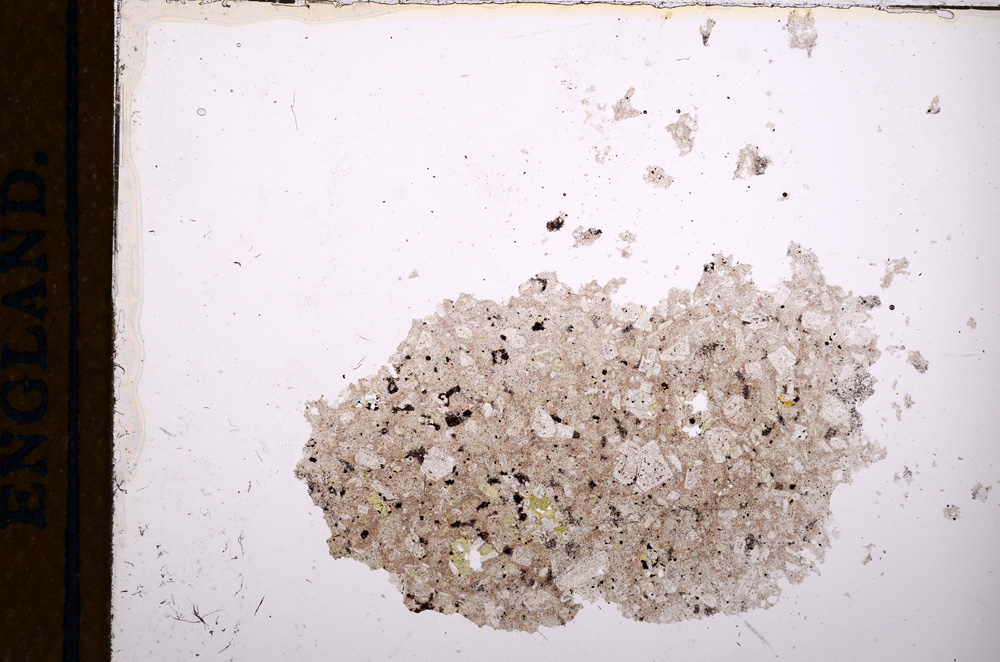 Plane Polarized, E12536