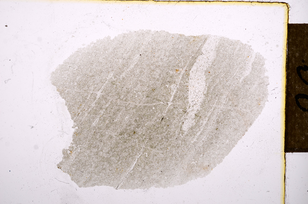 Plane Polarized, E12550