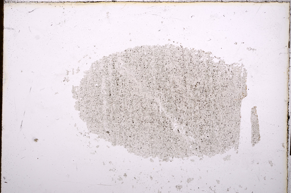 Plane Polarized, E12551