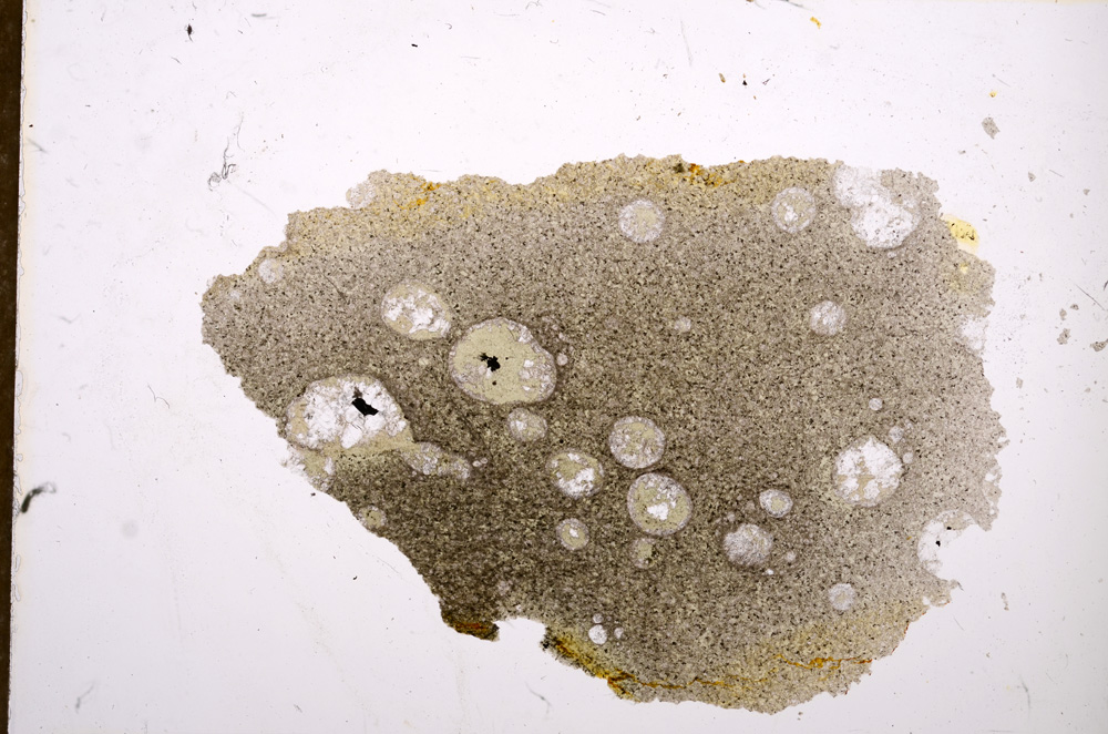 Plane Polarized, E12556