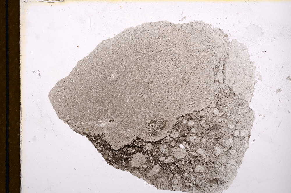 Plane Polarized, E12557