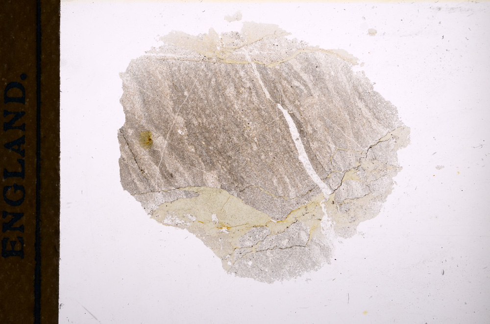 Plane Polarized, E12562