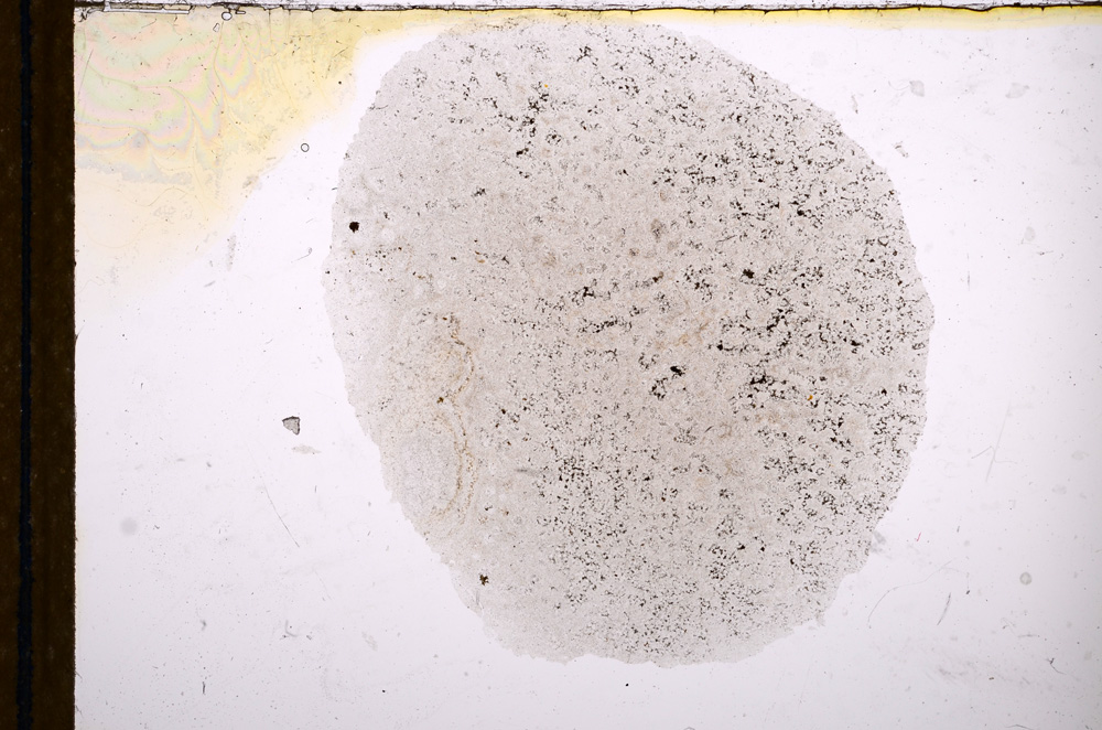 Plane Polarized, E12564
