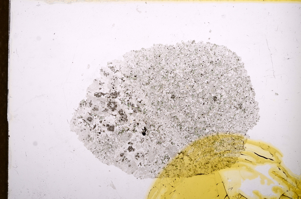 Plane Polarized, E12568