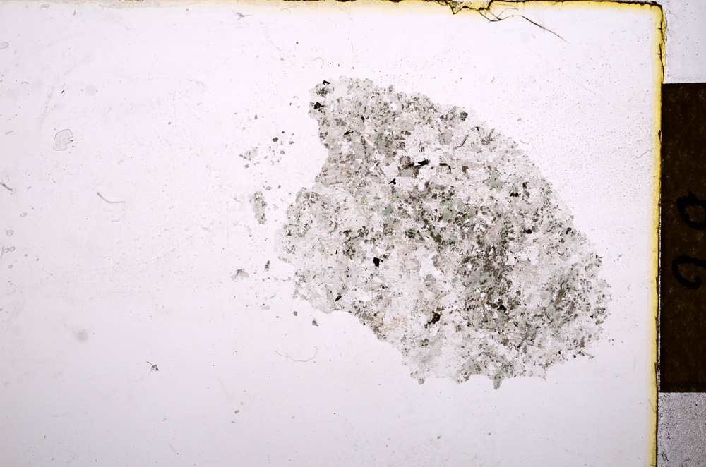 Plane Polarized, E12572