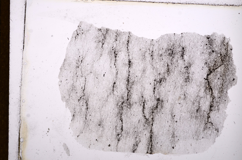 Plane Polarized, E12581