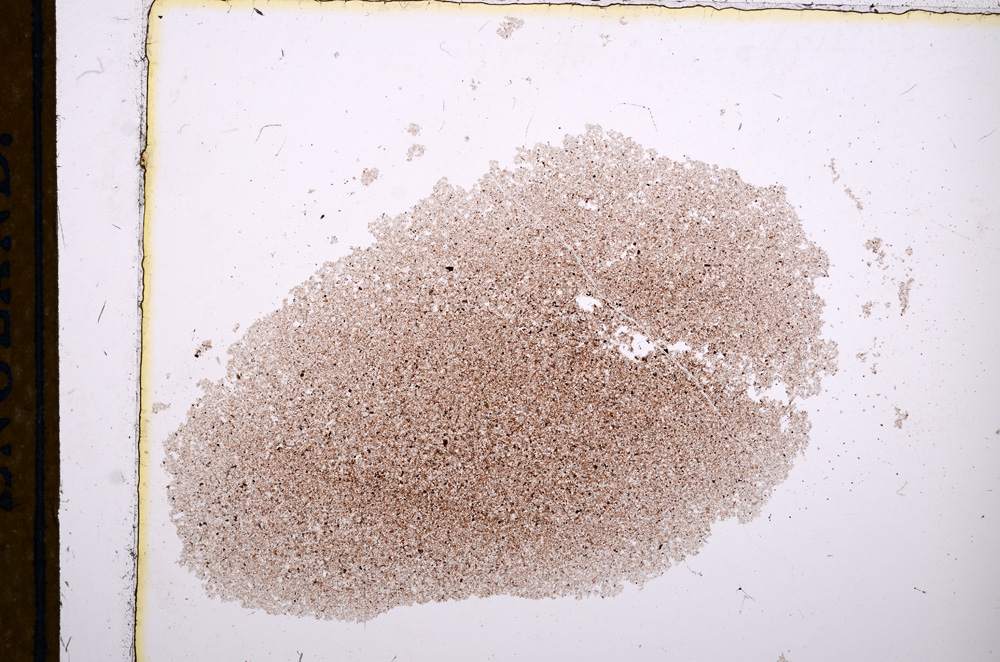 Plane Polarized, E12625