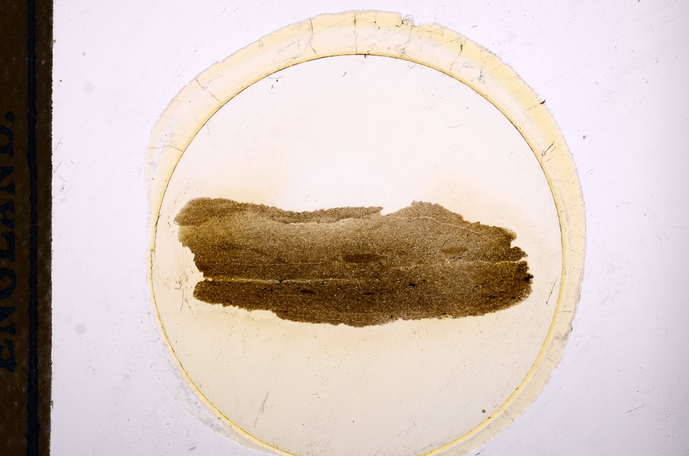 Plane Polarized, E12647