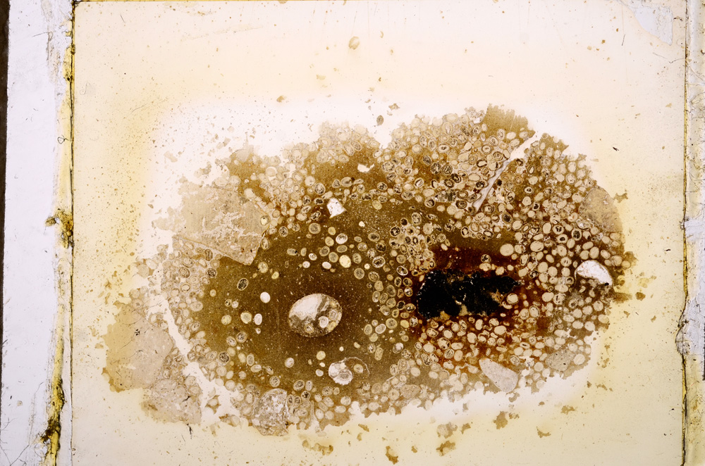 Plane Polarized, E12679