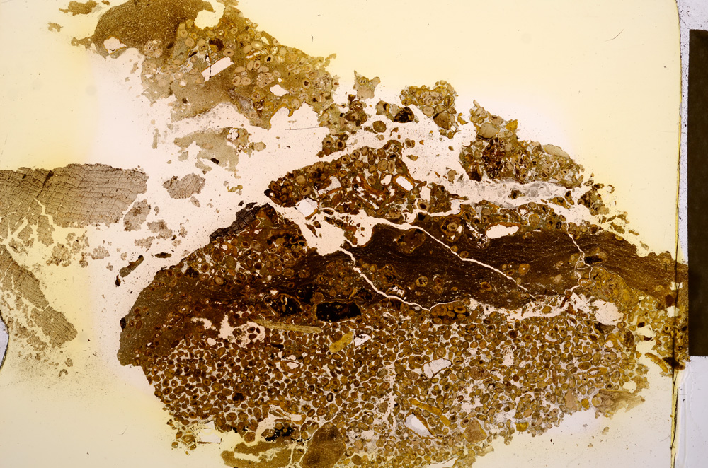 Plane Polarized, E12682