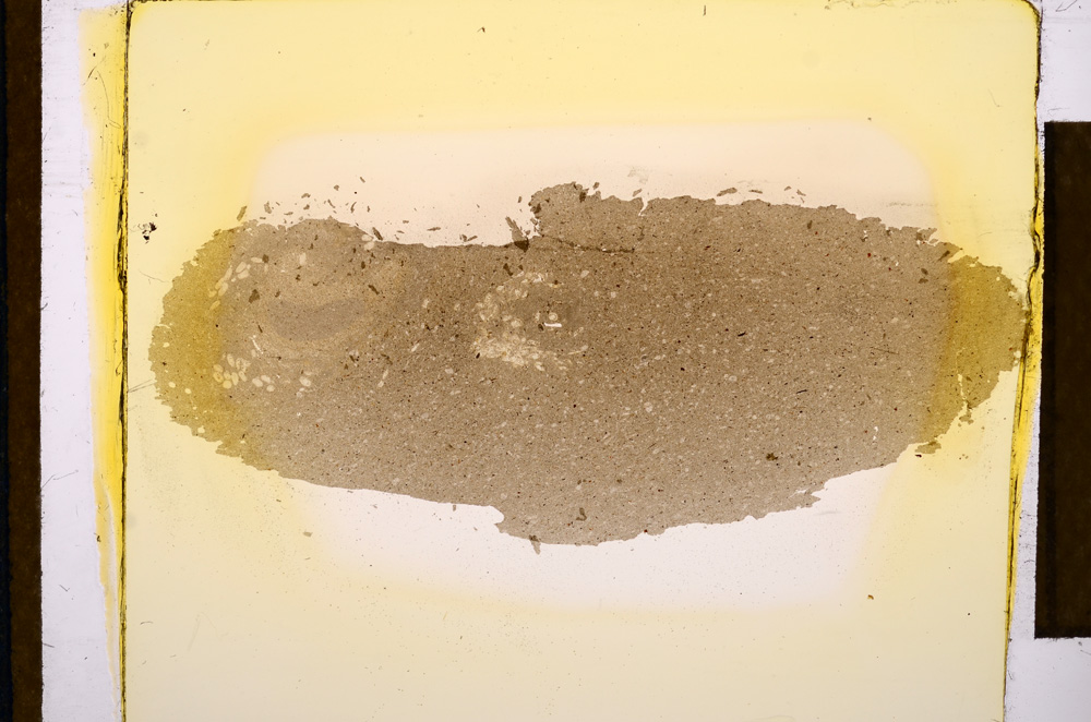 Plane Polarized, E12684