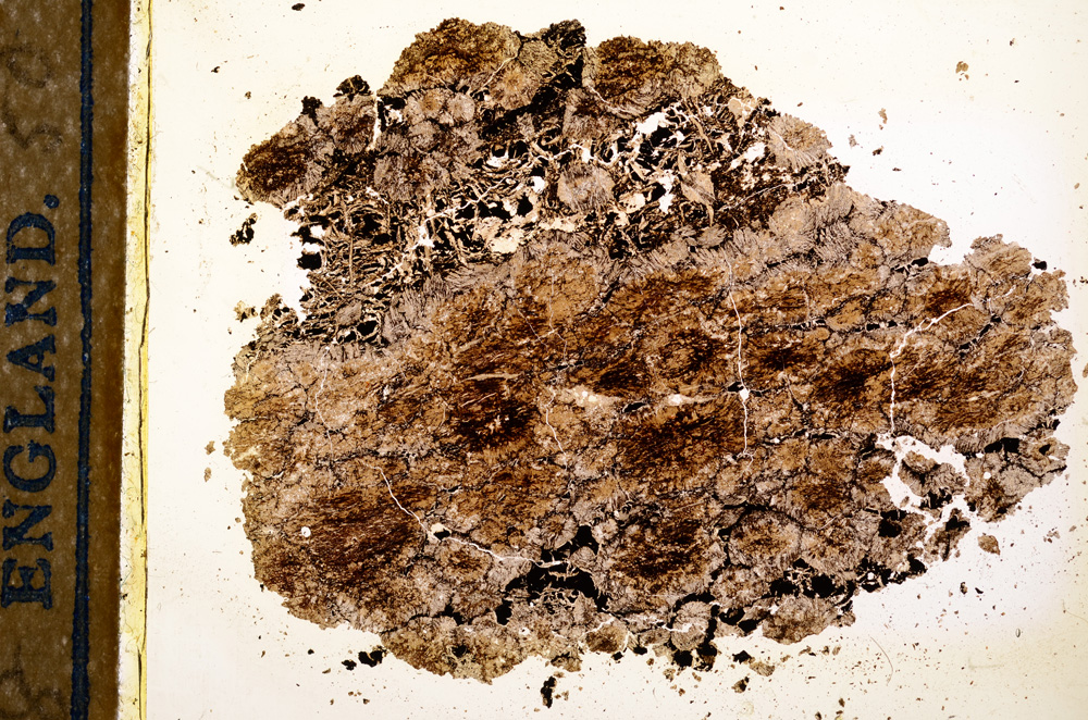 Plane Polarized, E12701