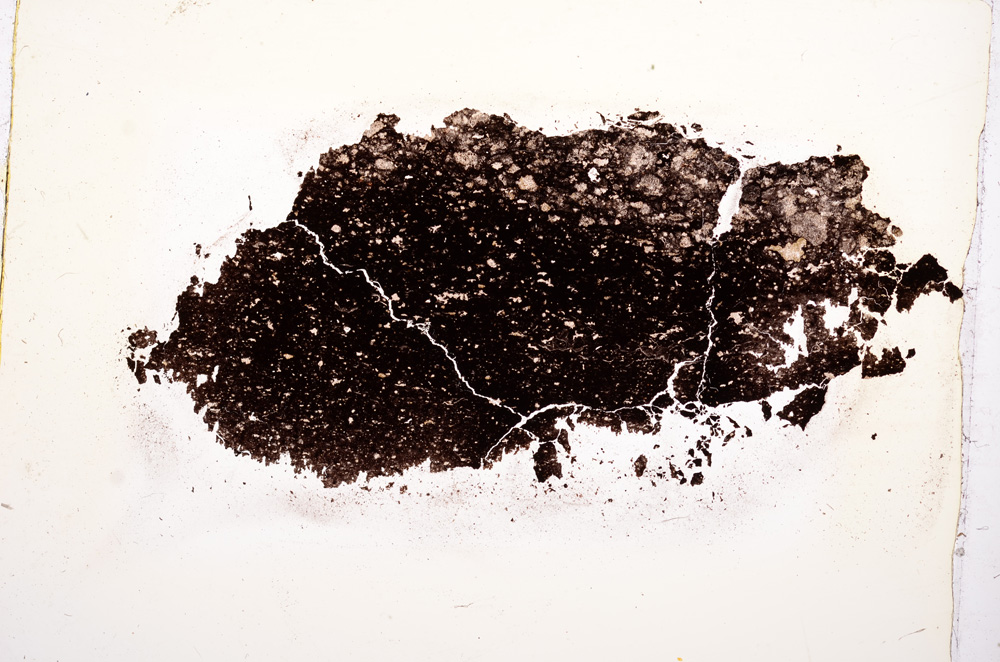 Plane Polarized, E12703