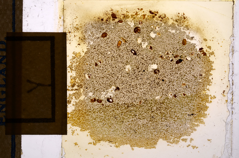 Plane Polarized, E12720