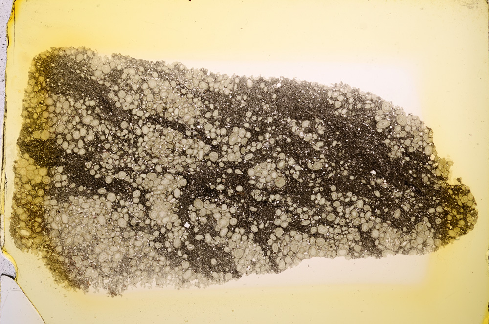 Plane Polarized, E12729