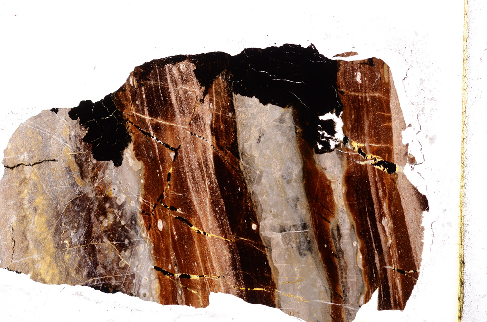 Plane Polarized, E12740/A