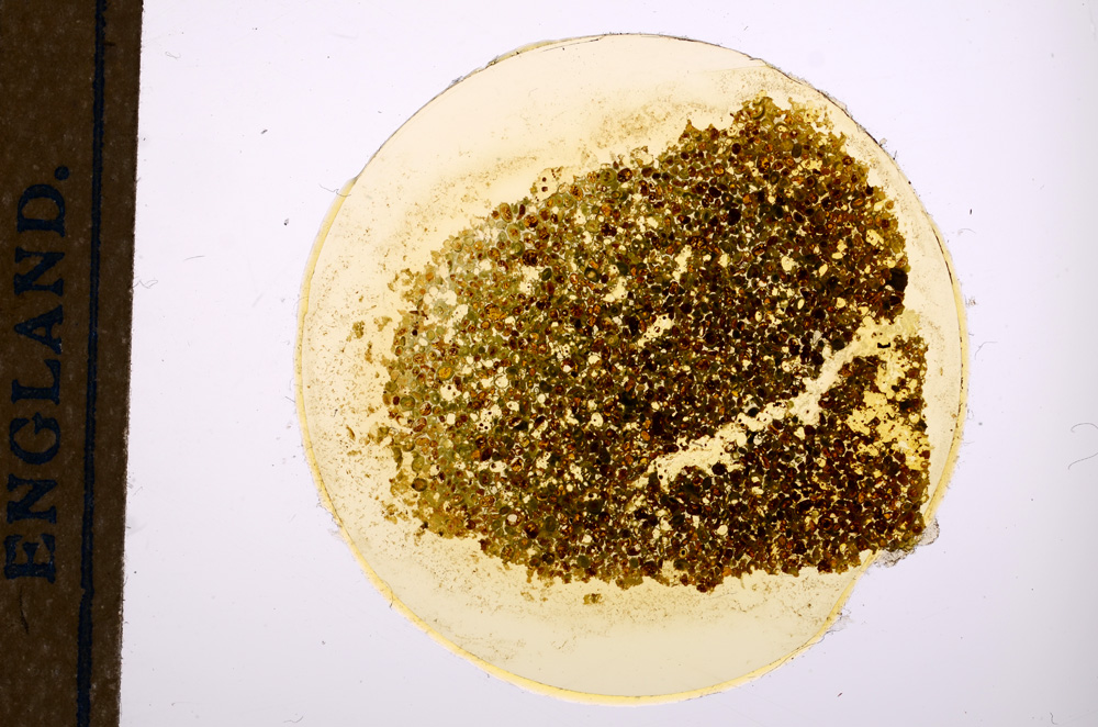 Plane Polarized, E12748