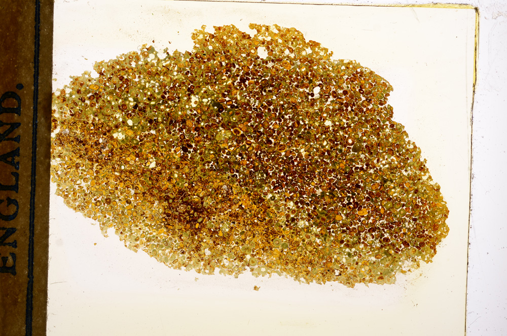 Plane Polarized, E12751