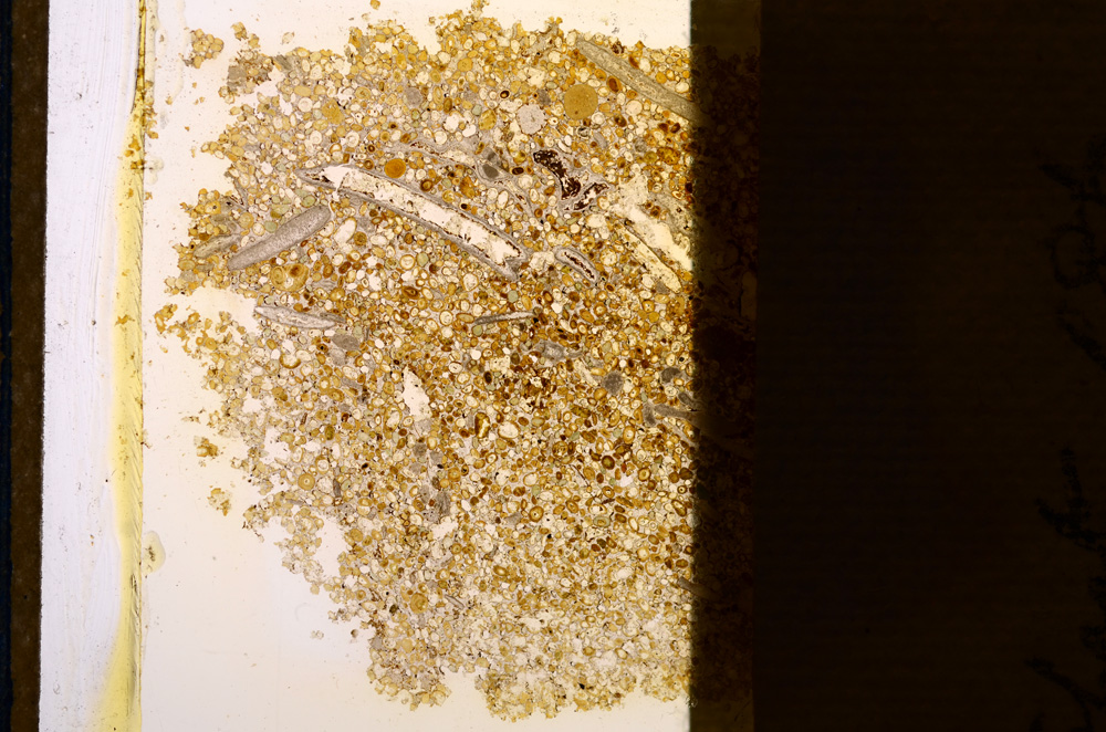 Plane Polarized, E12754