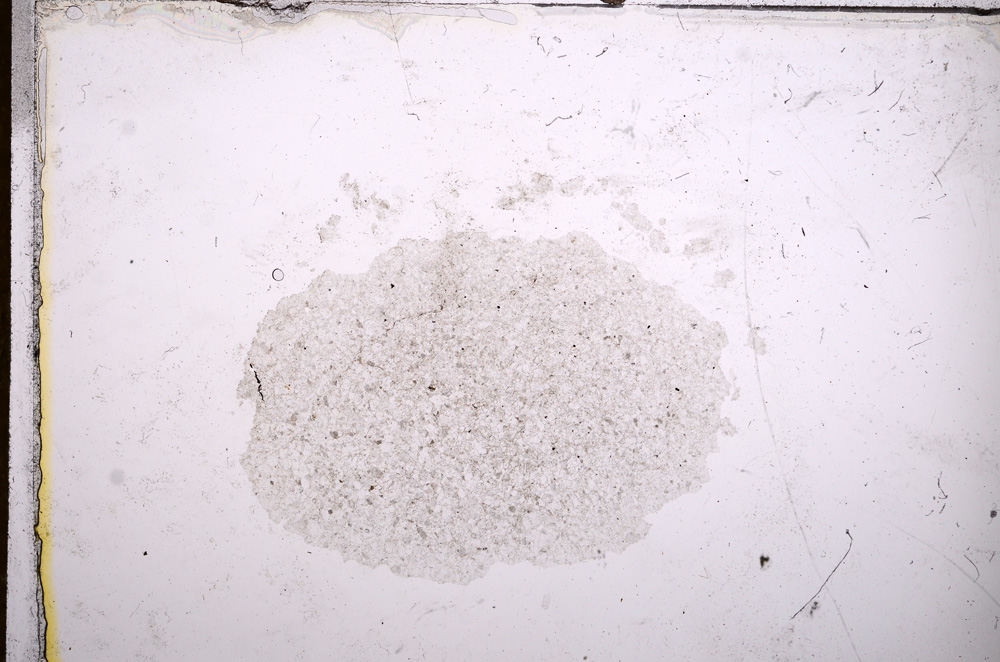 Plane Polarized, E12877