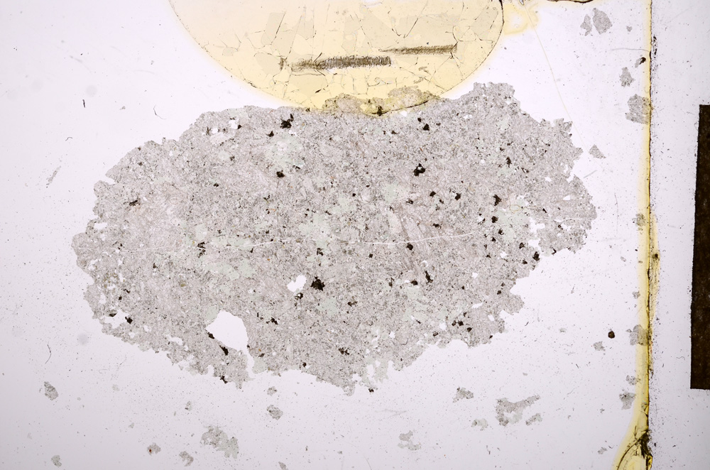 Plane Polarized, E12946