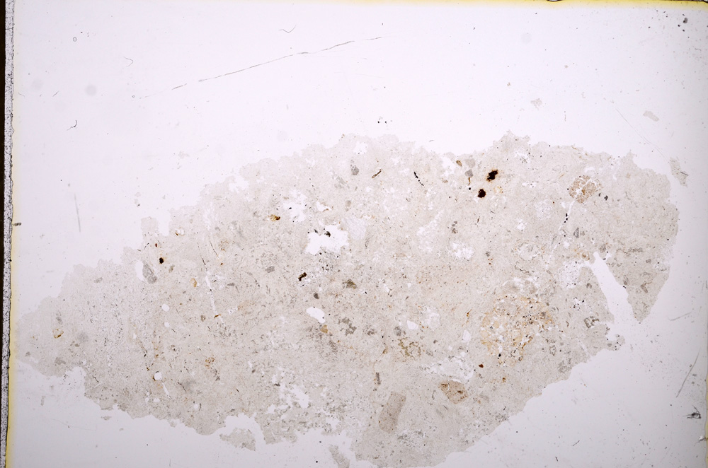 Plane Polarized, E12955