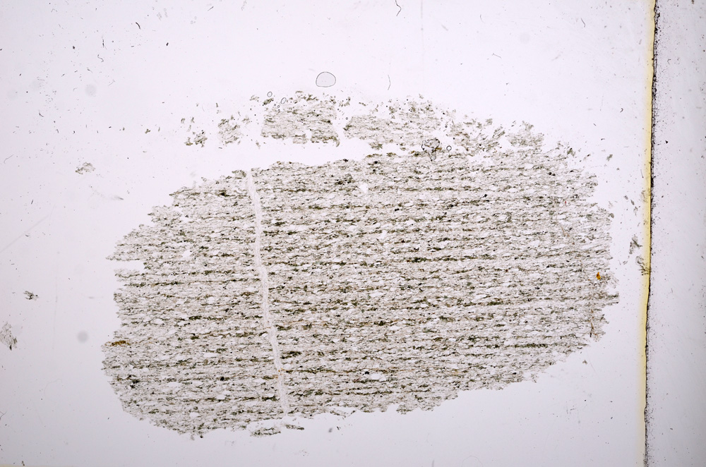 Plane Polarized, E12982